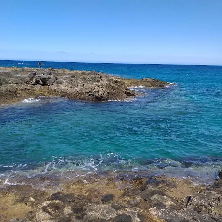 Rosie House 2 Parque Holandes