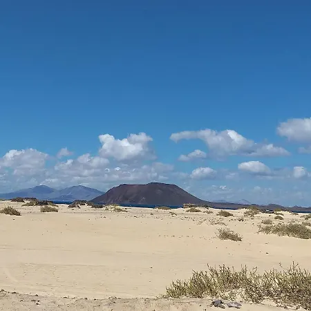 Rosie House 2 * Parque Holandes