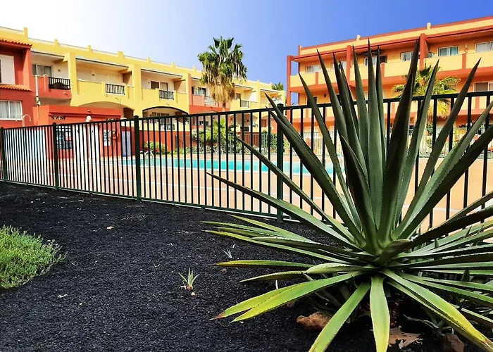 Rosie House 2 * Parque Holandes