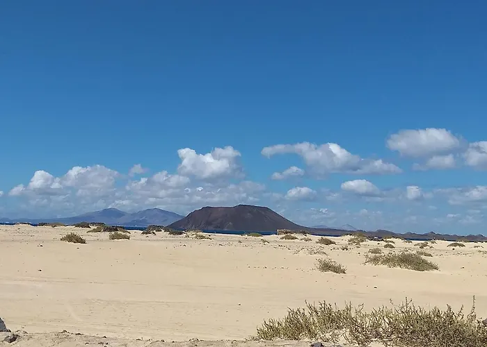 Rosie House 2 * Parque Holandes